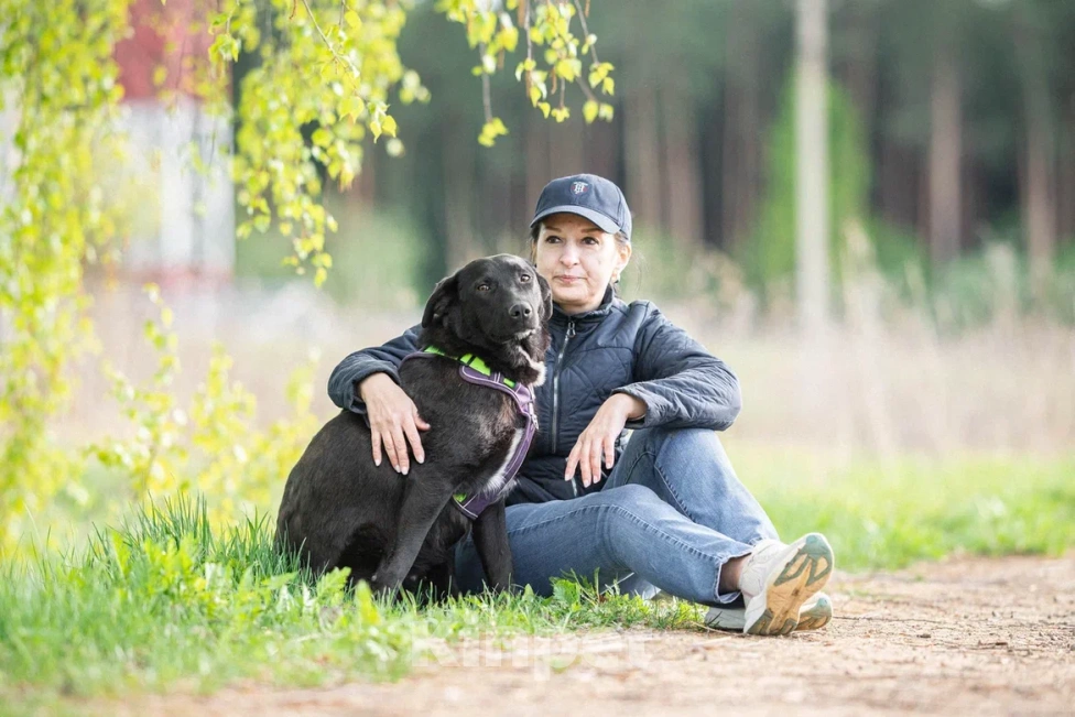 Собаки в Москве: Собака в дар Девочка, Бесплатно - фото 6