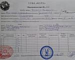 Собаки в Симферополе: Щенки Английский Кокер Спаниель Девочка, Бесплатно - фото 4