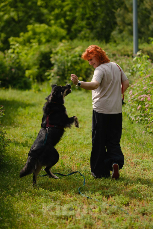 Собаки в Москве: Луняша, 5 лет Девочка, Бесплатно - фото 2