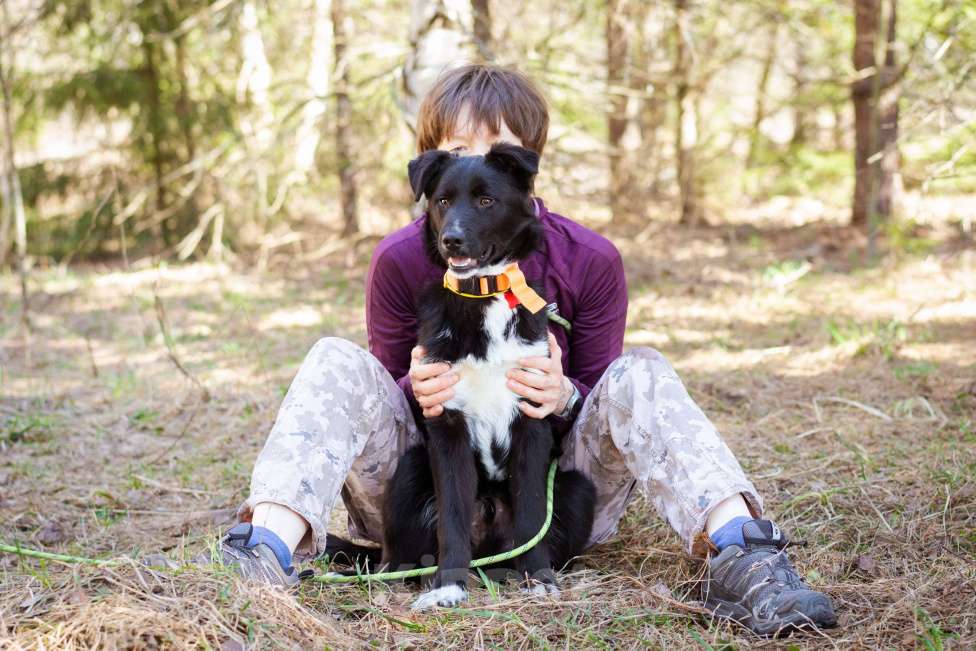 Собаки в Москве: Щенок Ларс Мальчик, Бесплатно - фото 6