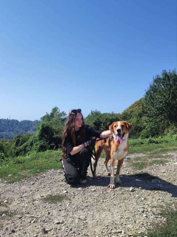 Собаки в других городах Краснодарского края: Роджер из приюта Поводог Сочи (отправим в любой город) Мальчик, Бесплатно - фото 6