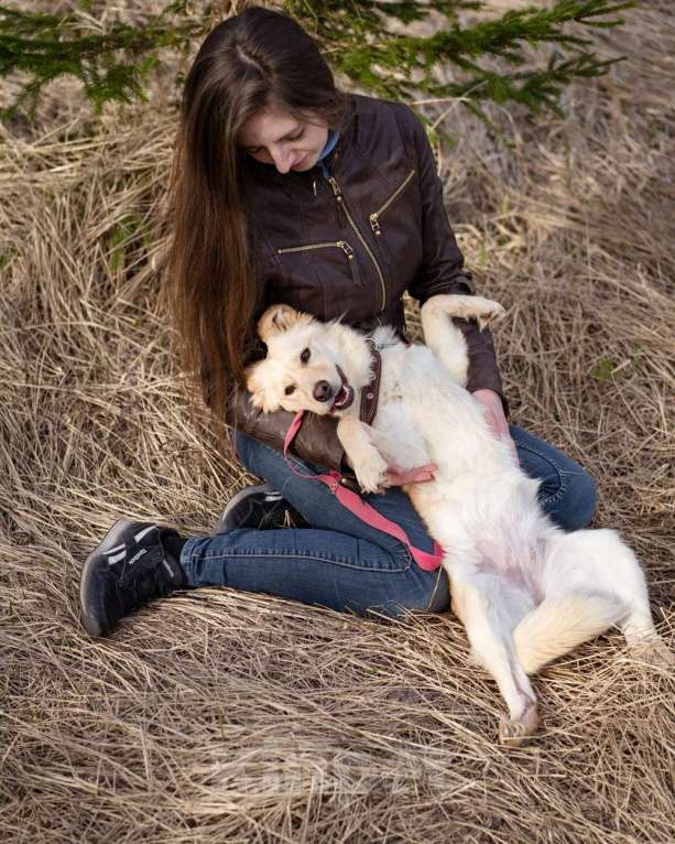 Собаки в Москве: Маленькая собачка, приучена к квартире Девочка, Бесплатно - фото 2
