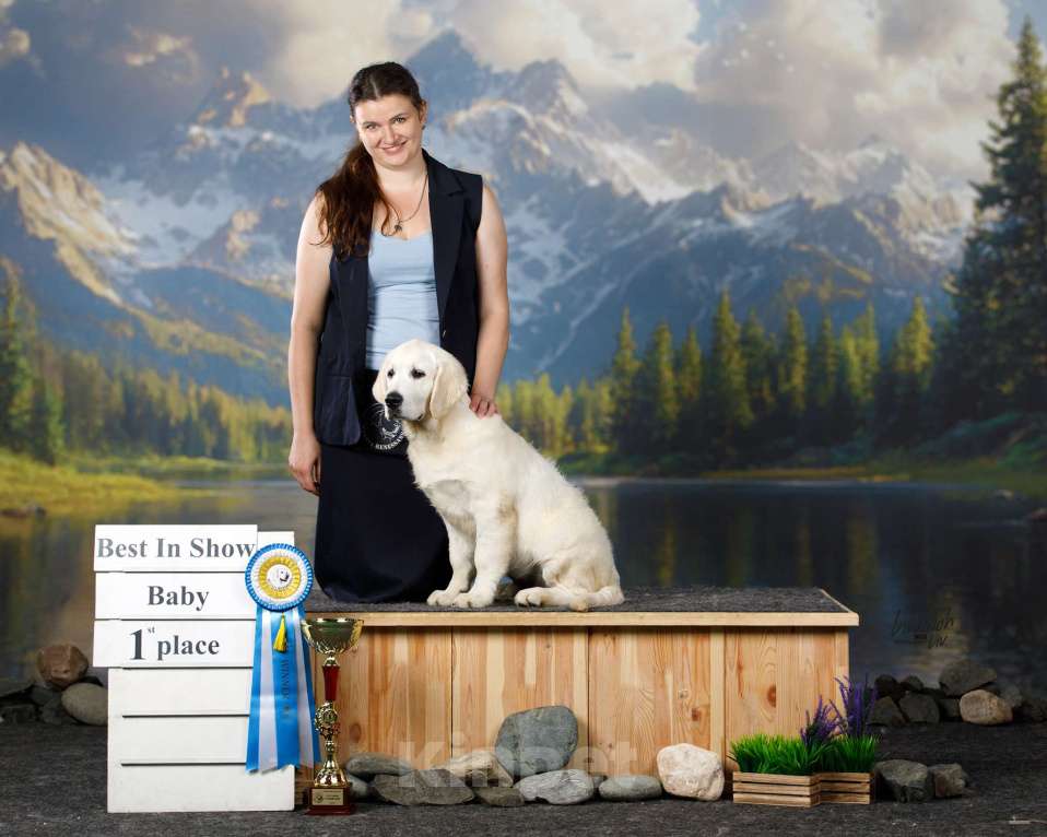 Собаки в других городах Московской области: 5 месяцев малыши Мальчик, 75 000 руб. - фото 4