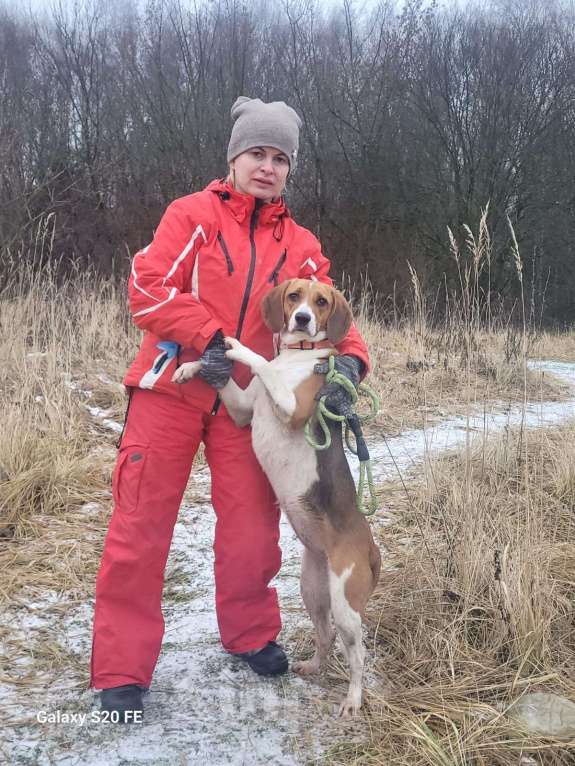 Собаки в Москве: Айя хочет домой Девочка, Бесплатно - фото 4