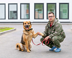 Собаки в Москве: Невероятный добряк Бобби! Мальчик, Бесплатно - фото 4