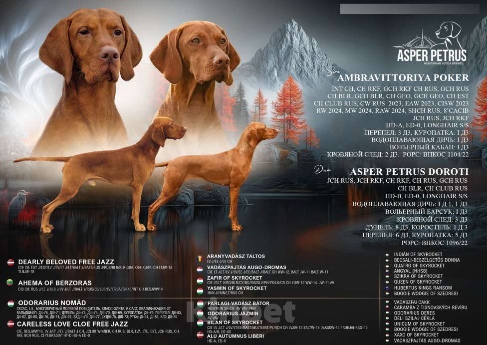 Собаки в Одинцово: Ожидаем щенков Девочка, Бесплатно - фото 1