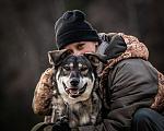Собаки в Клине: Кайя — собака, полная радости Девочка, Бесплатно - фото 9