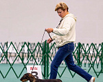 Собаки в Зеленограде: Такса стандартная жесткошерстная Девочка, 70 000 руб. - фото 2
