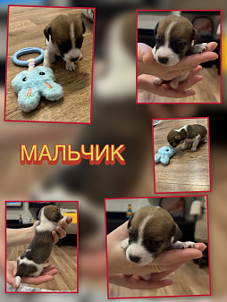 Продам