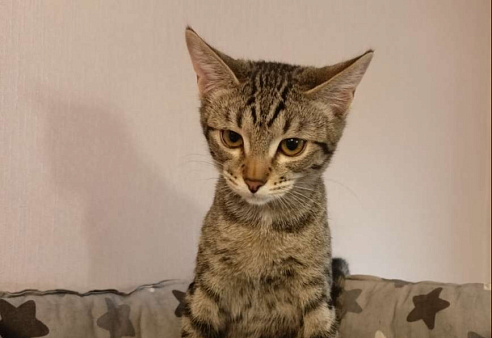 Девочка-подросток