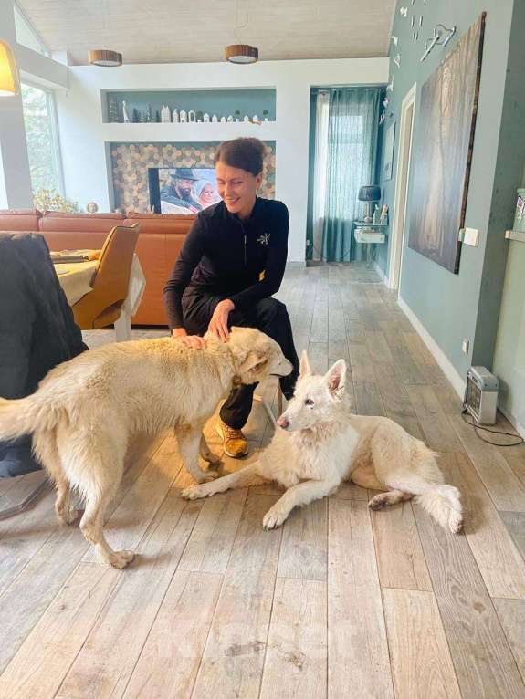 Собаки в Москве: собака Вита ищет дом Девочка, Бесплатно - фото 4