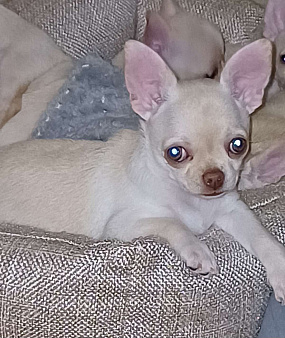 Классная девчонка