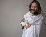 Кошки в Екатеринбурге: Кошка Вафля ищет дом Девочка, 1 руб. - фото 5