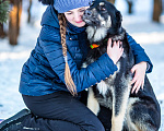 Собаки в Москве: Самый добрый пёс на свете в поисках семьи Мальчик, Бесплатно - фото 3