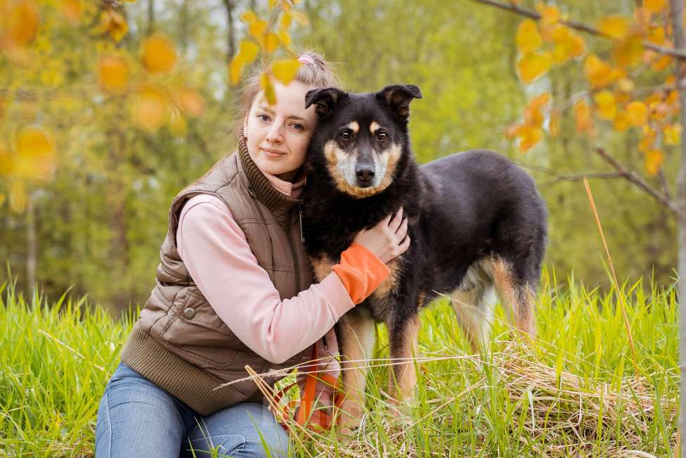 Собаки в Москве: Собака из приюта ищет дом Мальчик, Бесплатно - фото 5