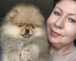 Собаки в Луховицах: Тайфун и Тайна Девочка, 50 000 руб. - фото 7