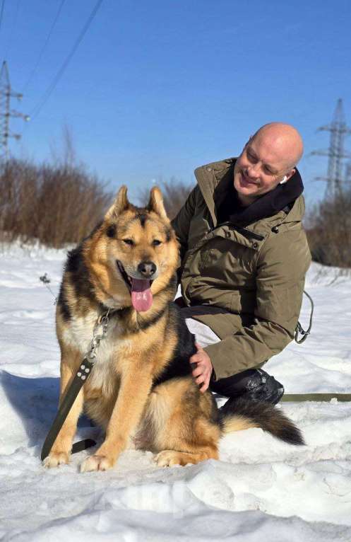 Собаки в Королеве: Джан! Воплощение мужества и харизмы! Мальчик, Бесплатно - фото 5