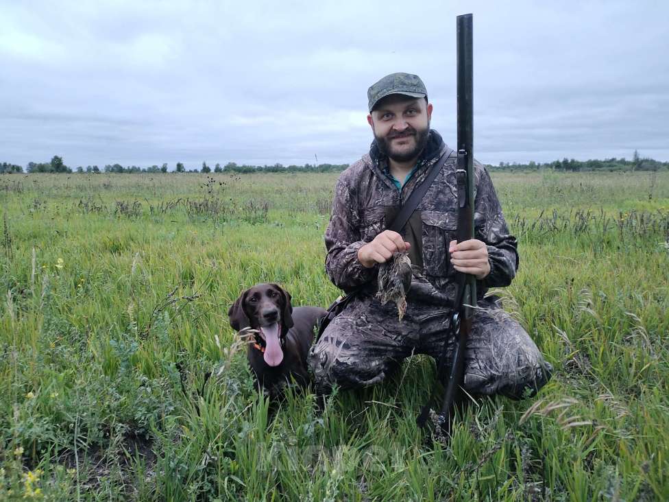 Собаки в Новосибирске: Щенок курцхаара Девочка, 45 000 руб. - фото 5