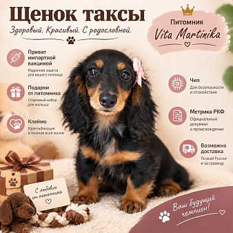 Малышка