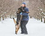 Собаки в Москве: Бакс Мальчик, Бесплатно - фото 3