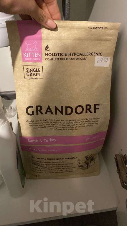 Кошки в Ростове-на-Дону: Канадский сфинкс  Мальчик, Бесплатно - фото 6