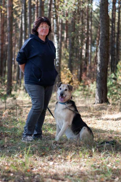 Собаки в Ногинске: Представляете идеального друга? Вот он — Михей! Мальчик, Бесплатно - фото 10