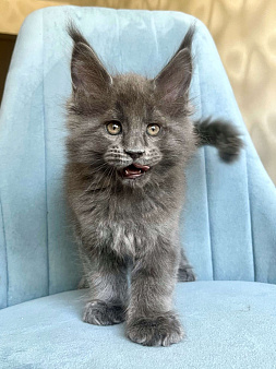 Мальчик Кумир