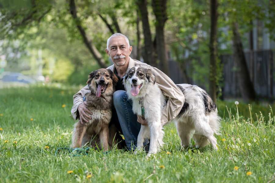 Собаки в Москве: Чудесная собака Мила ищет семью. Девочка, Бесплатно - фото 2
