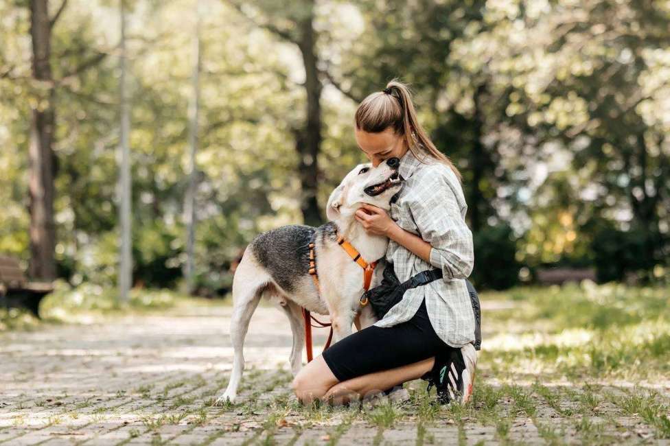 Собаки в Москве: Марко - мальчик, который смог 🧙 Мальчик, Бесплатно - фото 7