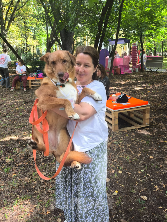 Собаки в Москве: Кутя, девочка, 9 лет Девочка, Бесплатно - фото 2