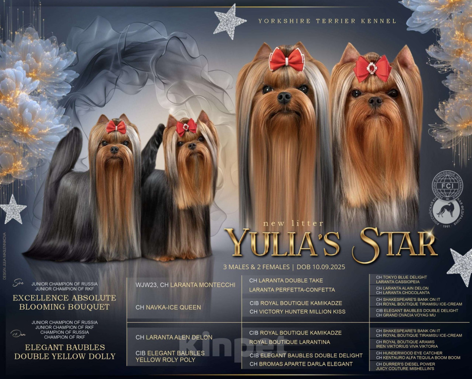 Собаки в Москве: Йоркширский терьер мальчик  Мальчик, 55 000 руб. - фото 10