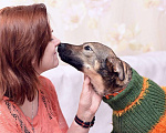 Собаки в Москве: Миниатюрная красотка Лисёна очень хочет найти семью. Девочка, Бесплатно - фото 5