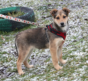 Малышка Нюша очень ждет своего родного ЧЕЛОВЕКА.