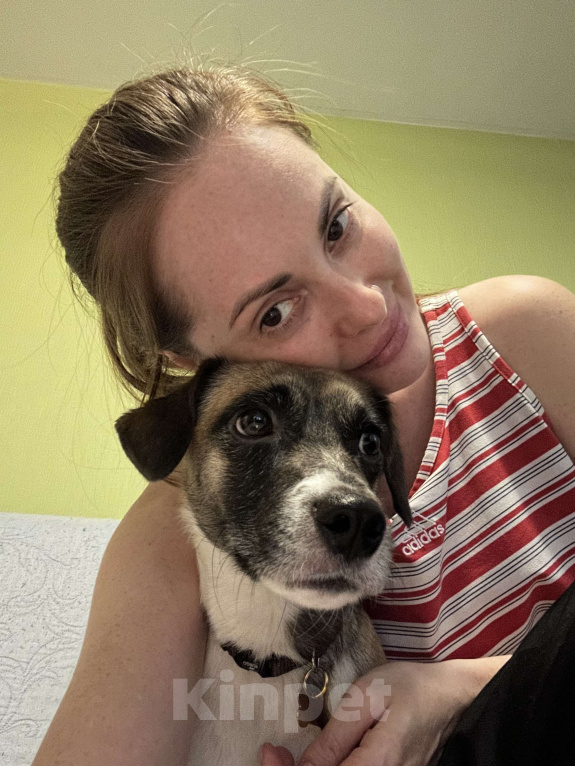 Собаки в Балашихе: Ищу самых добрых и заботливых родителей для мальчика Мальчик, Бесплатно - фото 1