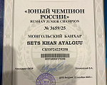 Собаки в других городах Московской области: Щенки монгольская овчарка банхар Разнополые, 60 000 руб. - фото 10