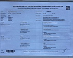 Собаки в Краснодаре: Продам щенков английского спрингер спаниеля Разнополые, 60 000 руб. - фото 4
