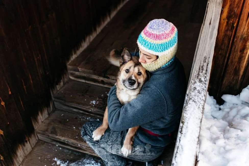 Собаки в Москве: Корги рыжего окраса Иви в добрые руки Девочка, 1 руб. - фото 2