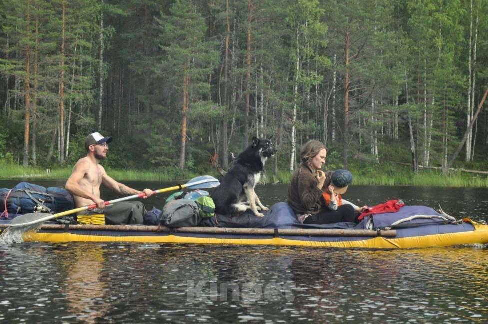 Собаки в Москве: Ищем новую семью для Балу! Мальчик, Бесплатно - фото 3