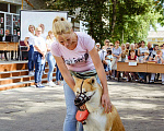Собаки в Острогожске: Вязка, 10 000 руб. - фото 1