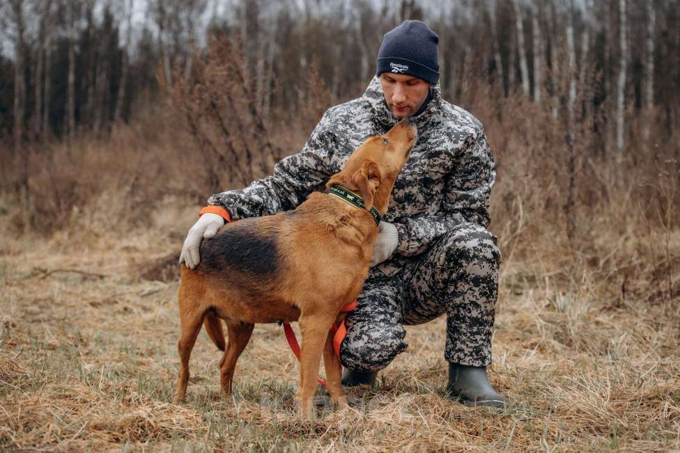 Собаки в Москве: Собака из приюта ищет дом Девочка, Бесплатно - фото 4