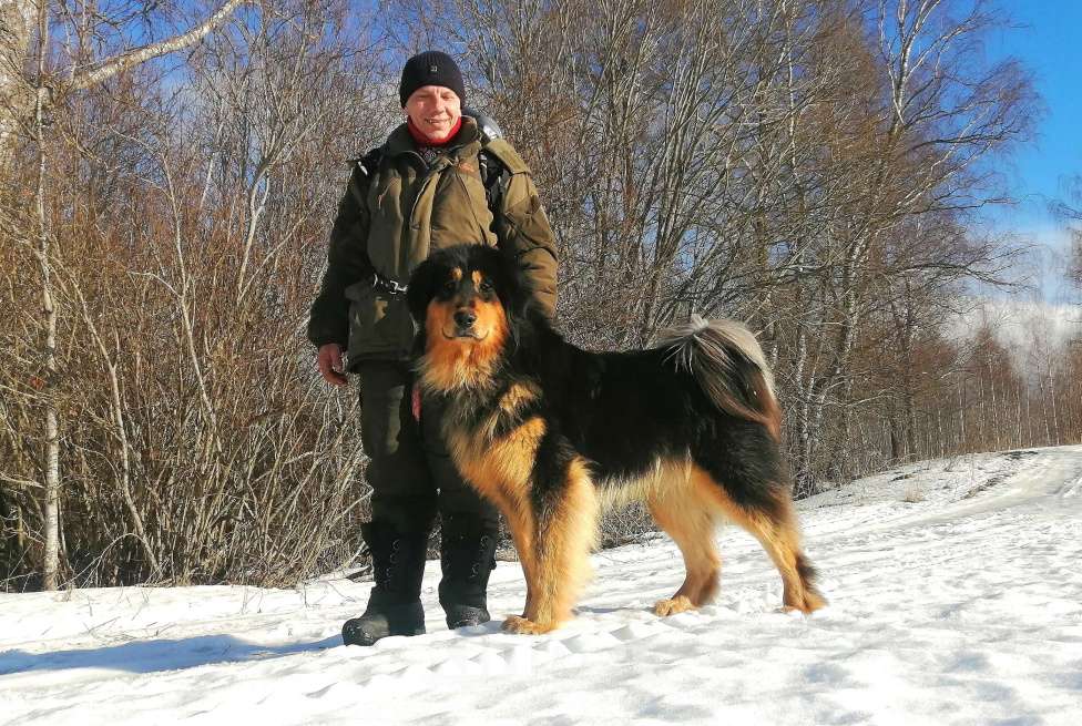 Собаки в Санкт-Петербурге: Щенки Банхара  Девочка, 75 000 руб. - фото 4