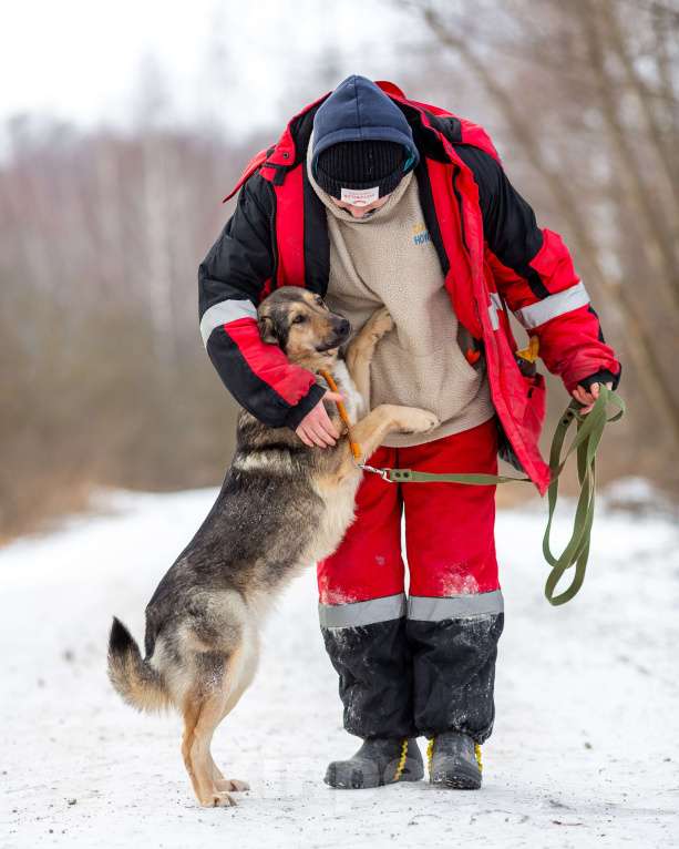 Собаки в других городах Московской области: Ищет дом жизнерадостная Нева Девочка, Бесплатно - фото 10
