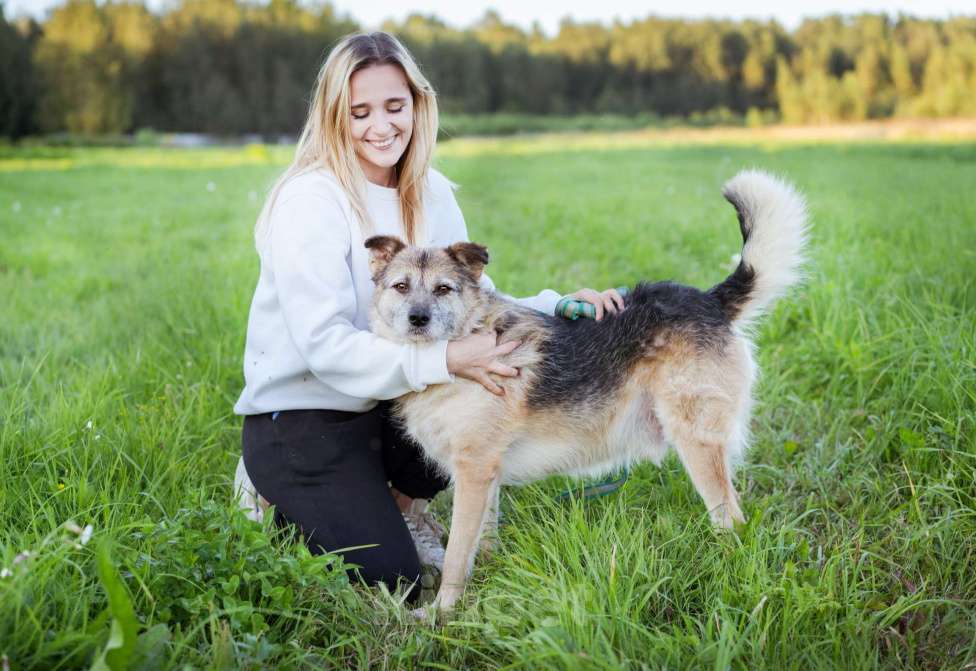 Собаки в Москве: Собака в поисках семьи! Мальчик, Бесплатно - фото 10