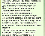 Собаки в других городах Московской области: Мальчик щенок Папильон Мальчик, 45 000 руб. - фото 8