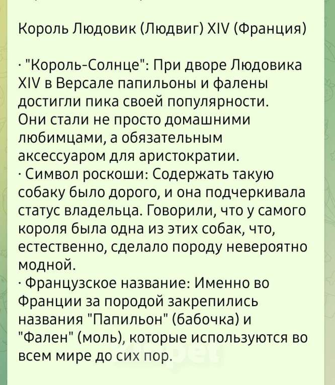 Собаки в других городах Московской области: Мальчик щенок Папильон Мальчик, 45 000 руб. - фото 8