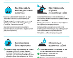 Собаки в Рязани: Щенок чихуахуа Мальчик, 40 000 руб. - фото 6