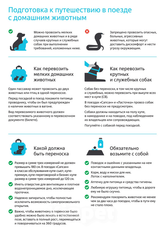 Собаки в Рязани: Щенок чихуахуа Мальчик, 40 000 руб. - фото 6