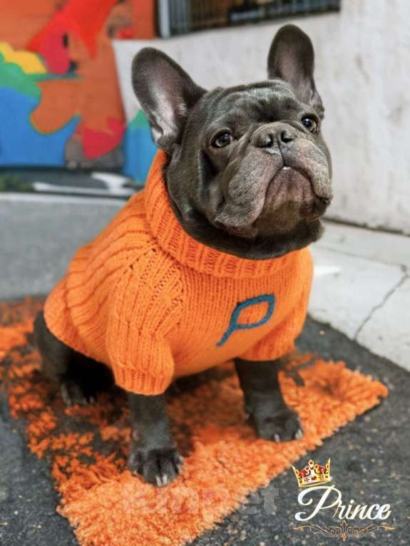 Собаки в Москве: Щенок французского бульдога (мальчик) Мальчик, 75 000 руб. - фото 3