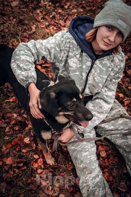 Собаки в Москве: Гарик Мальчик, Бесплатно - фото 4