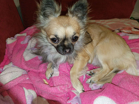 Потерялся друг